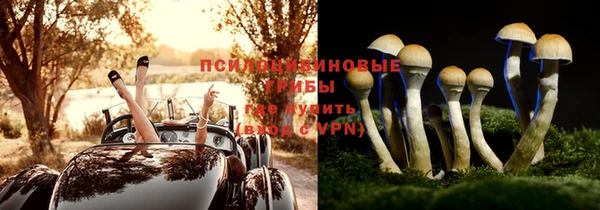 мдпв Балабаново