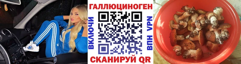 Псилоцибиновые грибы Psilocybine cubensis  что такое наркотик  Олонец 